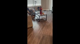 Going Around And Around And Around