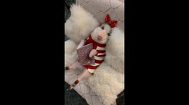 Roxy The Festive Pig Wishes You Happy Holidays