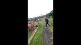 Man Gets a Dose of His Own Medicine From a Lama