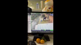 Horse conveniently throws rider into stables when they return home