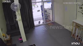 Monitor lizard sniffs around health clinic entrance