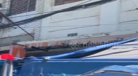 Wild macaques steal food from market vendors in Thailand