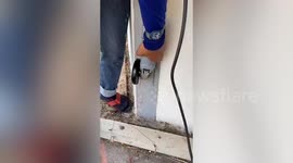 Locals drill hole in pillar to rescue stray kitten stuck inside