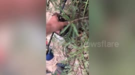 Fisherman scoops out stray dog stuck in discarded net in river