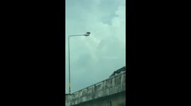 Rebel monkey violently shakes motorway lamppost in Thailand
