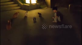 Dancing Robot Made by Young Boy Attracts Cats Audiences in Southern China