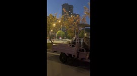 Cat Appearance: Owner Shows Off Her Fluffy Babies to Passing Filmer in Eastern China