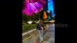 Mesmerising flower-shaped lamps emerge as major attraction for awe-struck citizens in China