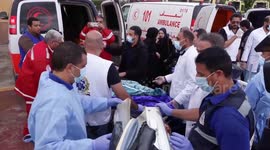 Dozens of premature babies transferred from Gaza to Egypt's Cairo