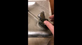 Water Fountain Sprays Onto Electrical Outlet