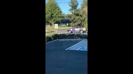 Woman Caught Faking a Hit-and-Run