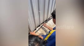 Workers rip open metal sheet wall to save kitten