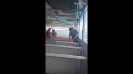 Passengers start panicking when the Blue Lagoon Transfer Ferry starts sinking