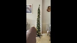 Christmas On A Diet