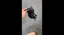 Kindhearted woman rescues kitten in heavy rain