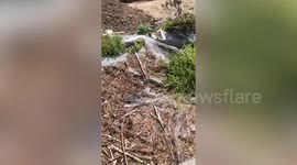 Sparrow stuck in net with piles if trash rescued in Japan