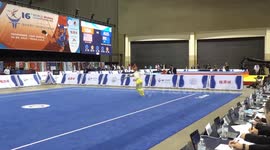 China dominates 16th World Wushu Championships