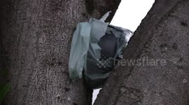 Suspected Bomb at Taboao da Serra Police Station in Sao Paulo, Brazil