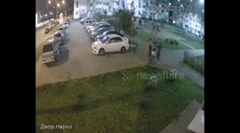Shocking scene as pet owner pushes woman who kicked his dog to the ground