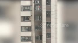 Woman balances on seventh-storey window ledge to clean windows