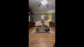 Toddler boy bursts his best moves watching the Gracie's Corner *Wholesome*