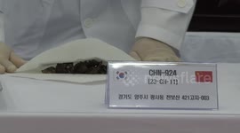 Remains of 25 Chinese soldiers killed in Korean War casketed in S. Korea