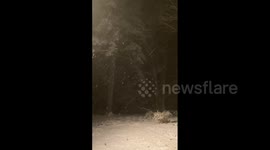 US: Pre-Thanksgiving Storm Brings Snowfall To Connecticut