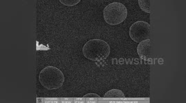Scientists give red blood cell world’s tiniest moustache