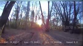 K9 Farrah and Handler Rescue Missing Elderly Man in Critical Operation in Cecil County, MD, USA