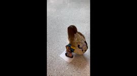 Daughter seeing her daddy for the first time in a month *Wholesome Reunion*
