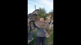 Man Holds Up Giant Rabbit