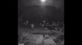 Elderly Neighbor Asks For More Visitors