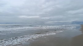 A dolphin stranded on the beach, unable to breathe due to the plastic cover stuck on its face, died