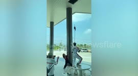 Car sellers rescue stray cat on showroom ceiling