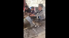 Caring schoolboy befriends stray cat and gives it water from his hand