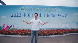 Canadian expat explores booming flower and tree industry in S China