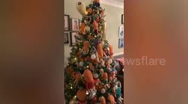 Kevin the Carrot superfan decorates Christmas tree with more than 50 of the soft toys