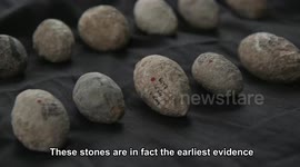 Archaeologists in Israel 'find earliest known evidence of war in the region'