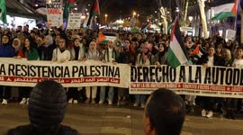Pro-Palestinian demonstration against large companies that support Israel in Barcelona, Spain