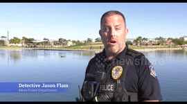 Police Thanksgiving Surprise: Turkeys Instead of Tickets in Mesa, AZ, USA