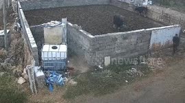 Farmer calmly restrains ferocious dog charging at him in China