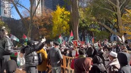 US: Pro-Palestine Protesters Gather In Madison Square Park On Thanksgiving