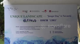 China's Jiangxi promotes cultural tourism in Tanzania