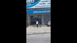 Stubborn pet dog has to be dragged into vet clinic