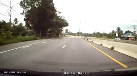Huge snake shocks driver as it slithers across moving car's windscreen