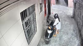 Startled in Guangdong: woman's encounter with surprise guests