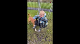 Smart and sporty doggo makes human bro's day by happily pushing him on swing