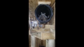 We Have Found the Source of the Clog