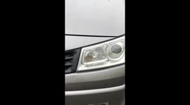 Rodent In Headlights
