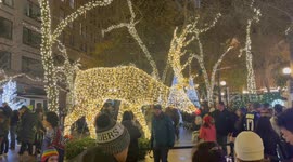 Christmas street lights in Seattle